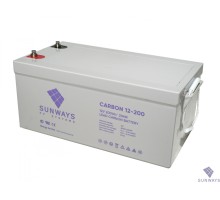 Аккумуляторная батарея SUNWAYS CARBON 12-200